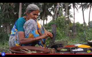 Gastronomia: cucina  gastronomia  india  curry