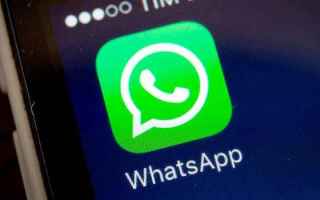 App: budala  zingari  whatsapp