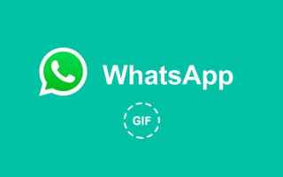 gif  whatsapp