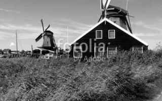 Viaggi: olanda  mulini  mulini a vento