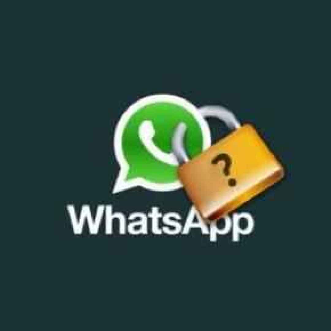 whatsapp  privacy  falla