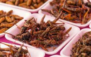 Alimentazione: mangiare insetti