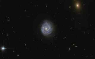Astronomia: galassie  buchi neri