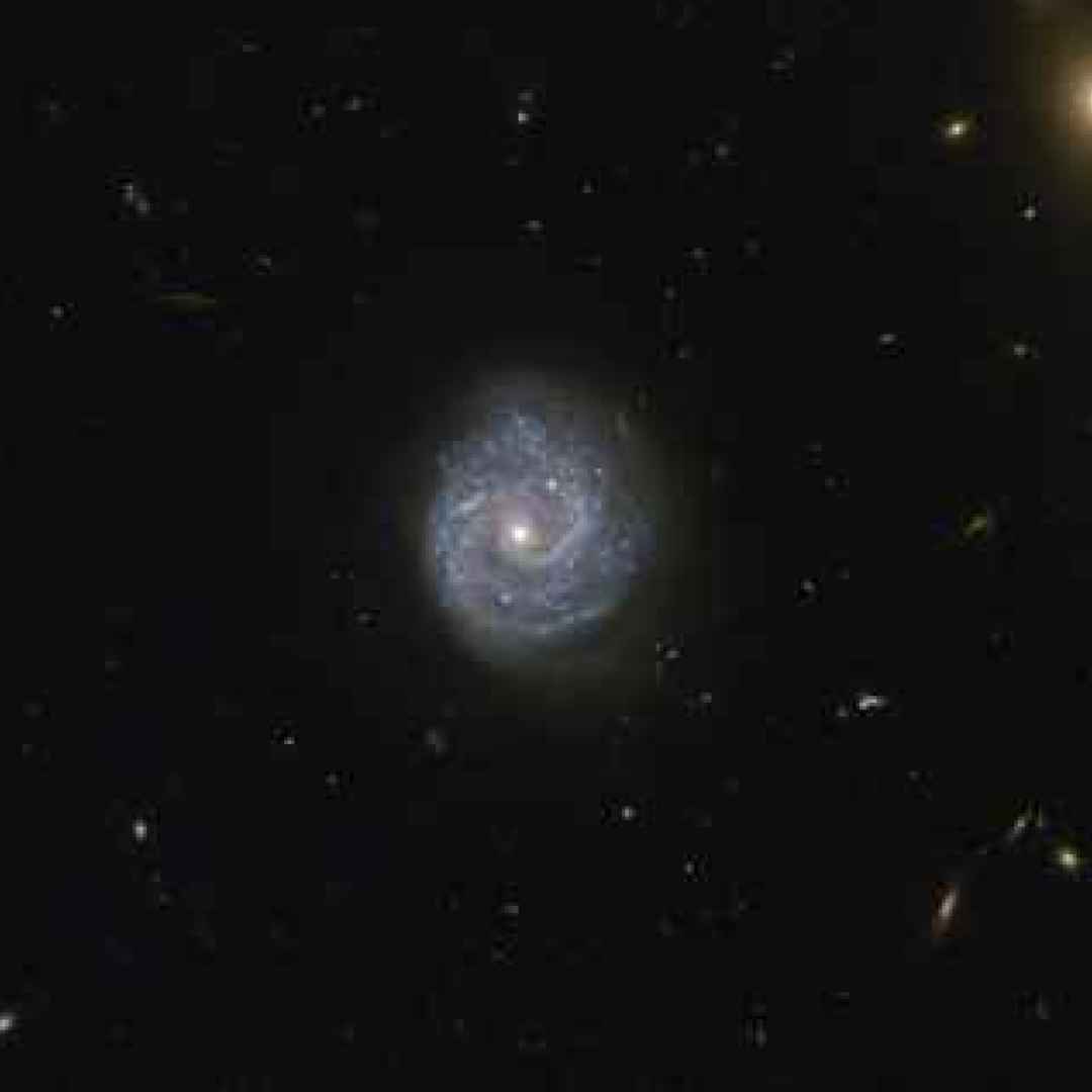 galassie  buchi neri