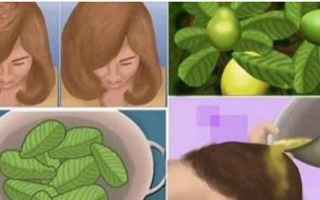 Bellezza: caduta dei capelli  guava