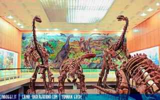 Viaggi: dinosauri in cina guida yunnan chuxiong