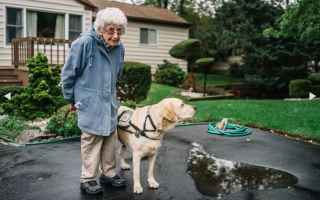 Una veterana di 92 anni ha incontrato il cane che ha cambiato la sua vita.