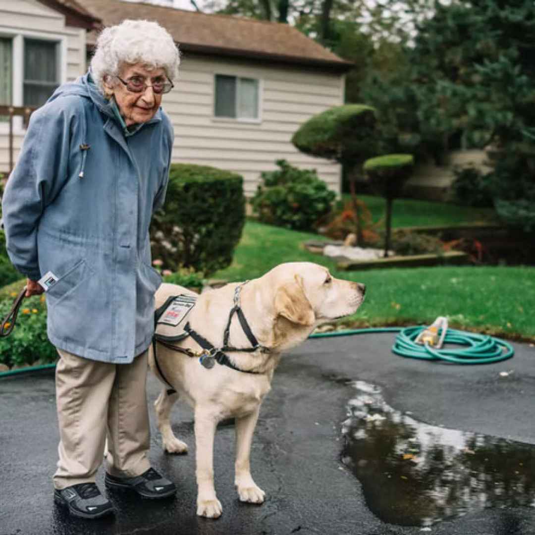бабушка с собачкой картинки