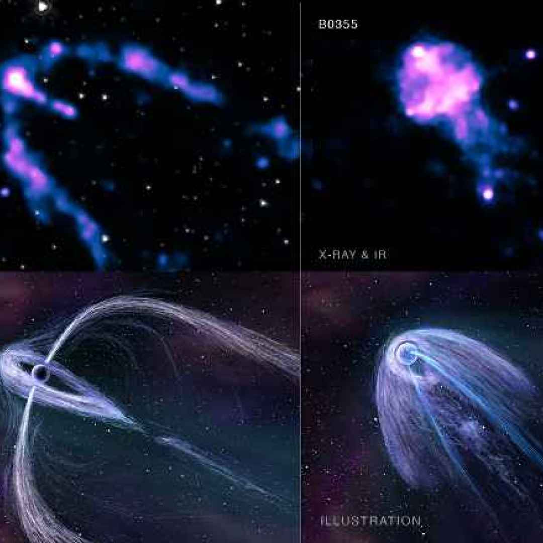 pulsar  stelle di neutroni  chandra
