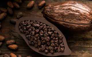 Alimentazione: cioccolato  cacao  effetti benefici