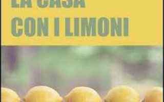pulizie casa  prodotti ecologici  limone