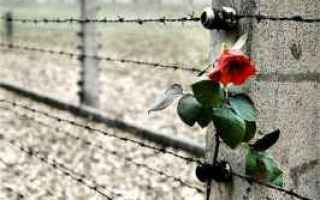 Foto online: olocausto  memoria  selfie  social