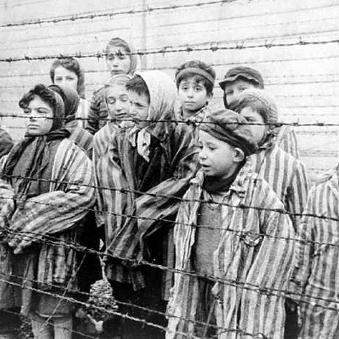 shoah  giornata della memoria  olocausto