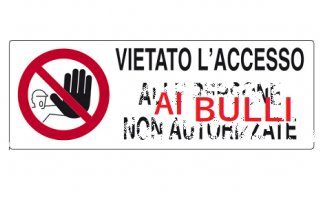 cyberbullismo  adolescenti  italia  le iene