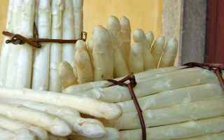 Gastronomia: sagra  bibione  asparago bianco  mare