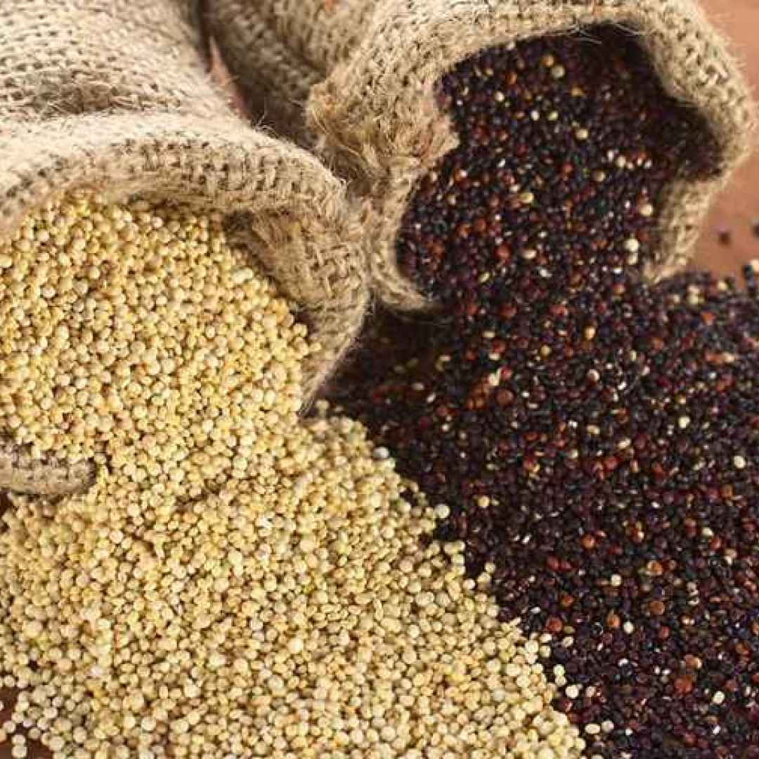 quinoa  superalimenti  proteine
