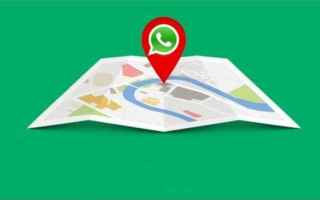 Whatsapp testa nelle beta il live tracking delle posizioni. E la privacy?