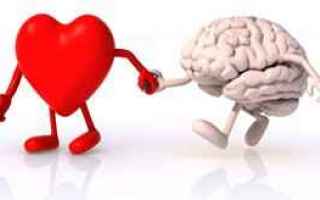 Questo articolo descrive la Intelligenza Emotiva illustrando il concetto di Quoziente Emotivo. Viene