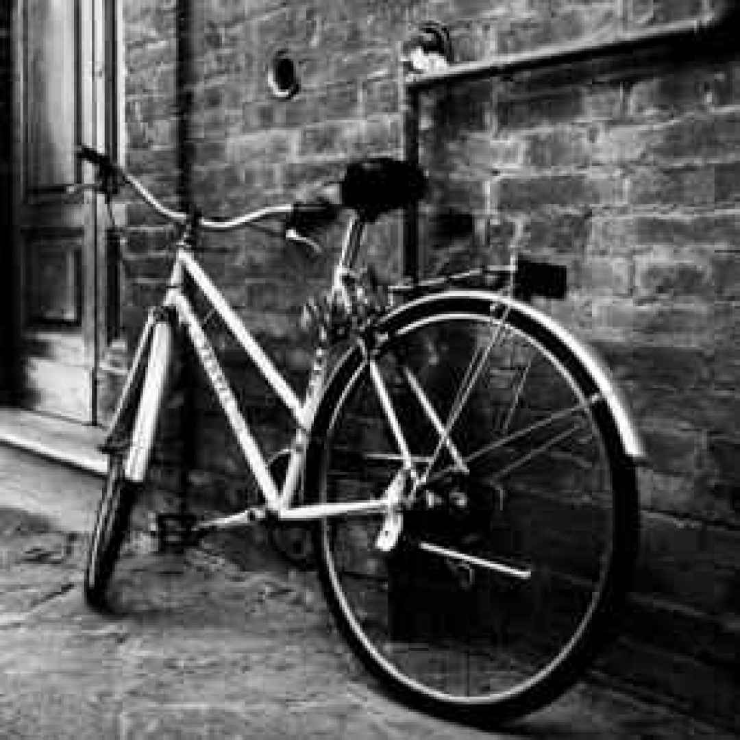 bici rubate  bici milano  bici ritrovate