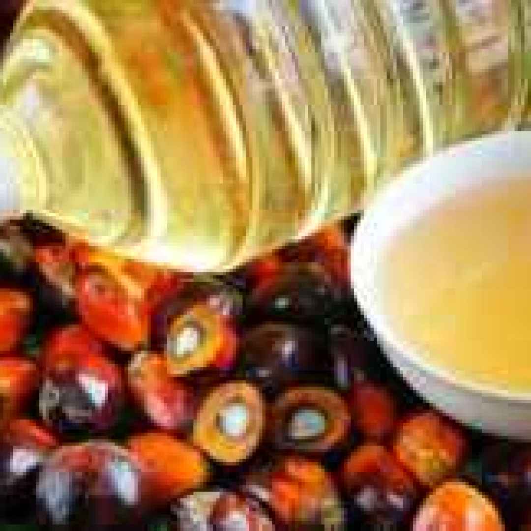 olio di palma  grassi saturi