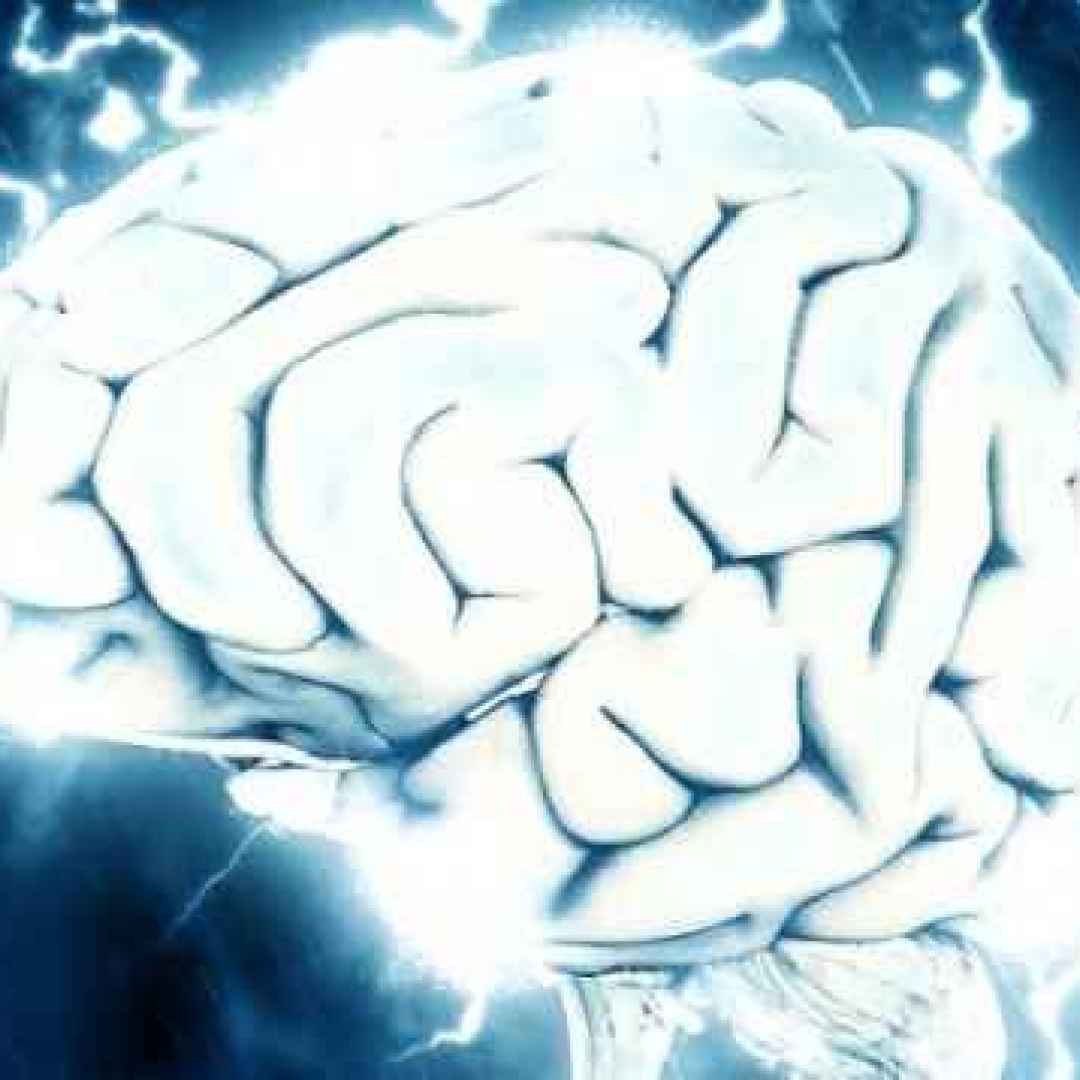 cervello  conoscenza  crescita  salute