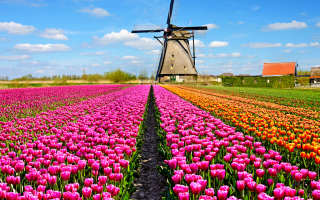 L’Olanda nell’immaginario collettivo è vista come una nazione liberissima, molto tollerante, da