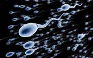 Sesso: vasalgel  sperma  contraccetivi
