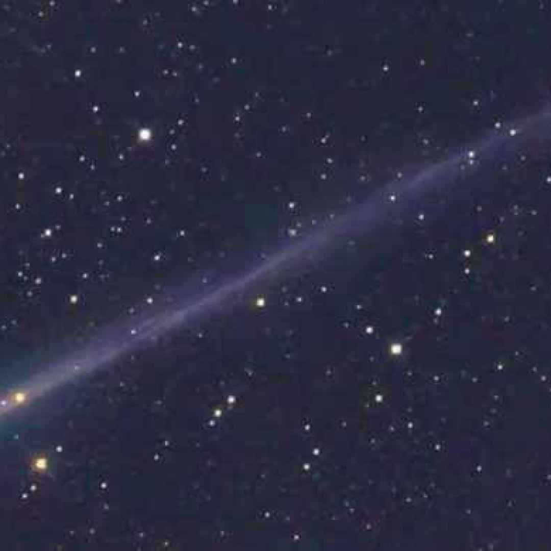 cometa verde astronomia spazio