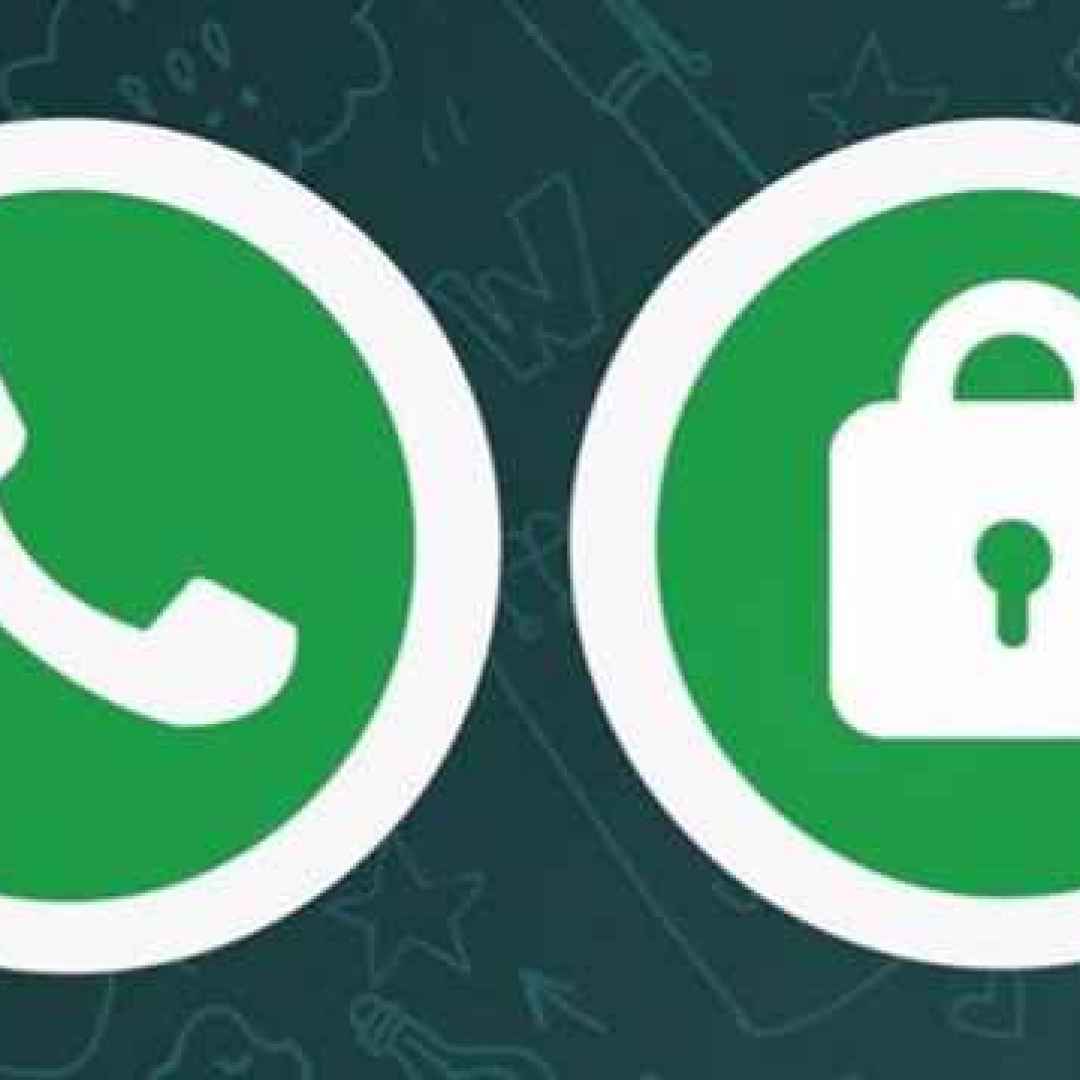 whatsapp  app  sicurezza