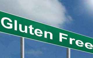 Il glutine è una sostanza lipoproteica che si origina dallunione, in presenza di acqua ed energia m