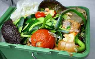 Ambiente: sprechi sprechi cibo sprechi alimentari