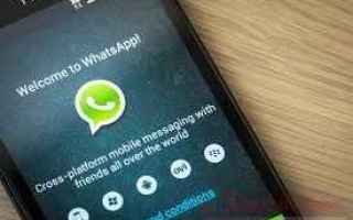 App: whatsapp  whatsapp stato