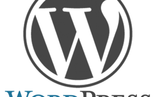 web  wordpress  programmazione