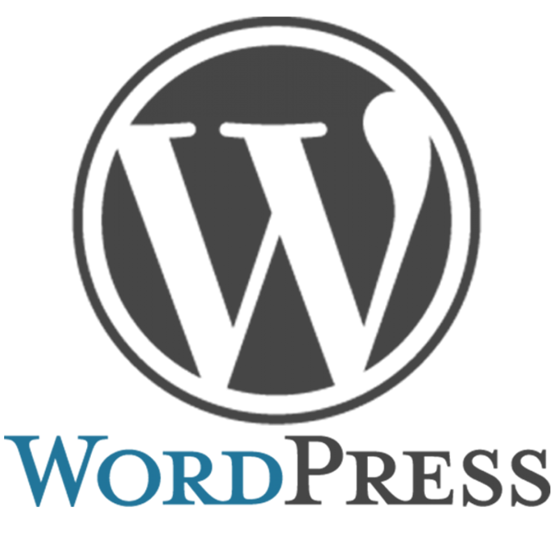 web  wordpress  programmazione