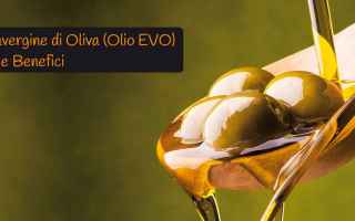 Alimentazione: olio extravergine oliva olio  olio evo