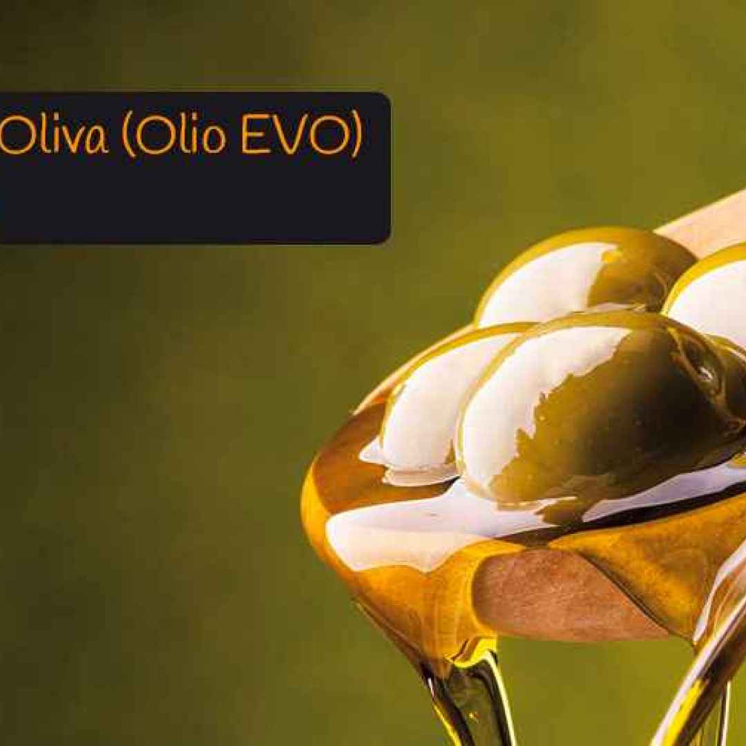 olio extravergine oliva olio  olio evo