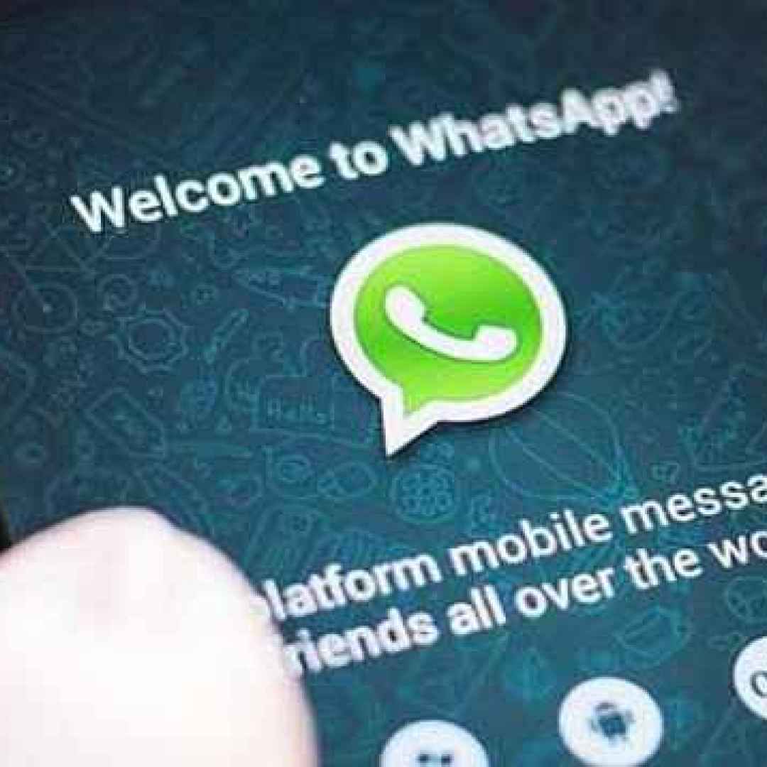 whatsapp  apps  tagline  news