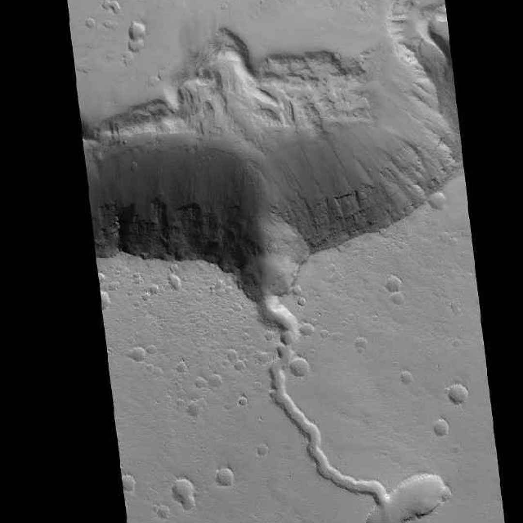 elysium planitia  marte