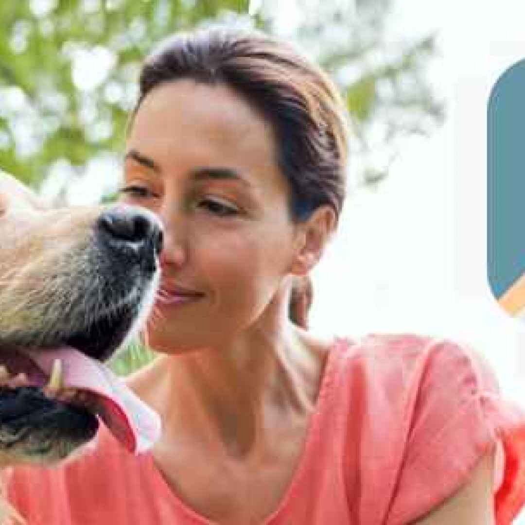 android  cane  dog  veterinario  app