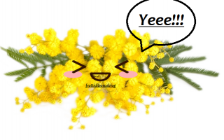 Blog: fiori  mimosa  esperimenti  giardinaggio