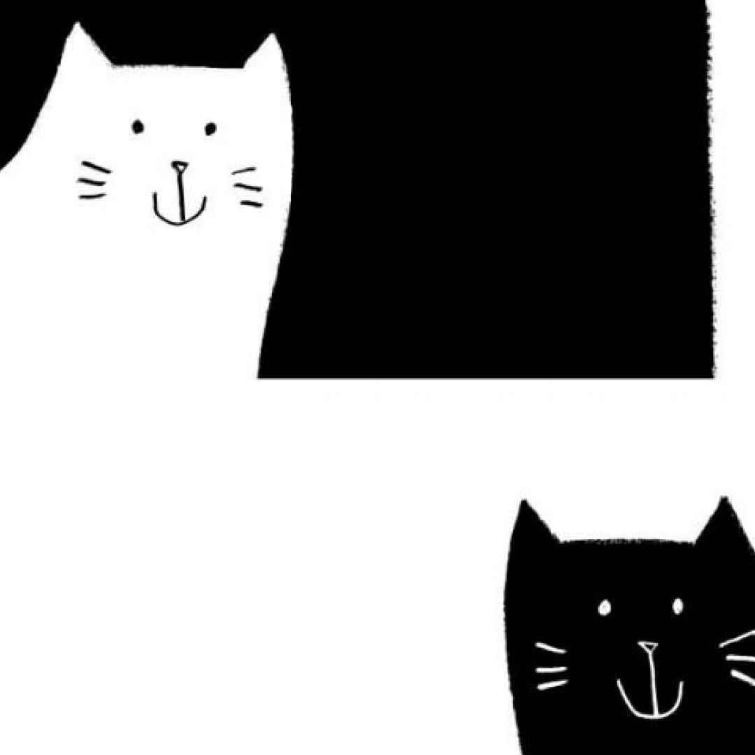 Un bellissimo libro per bambini: gatto nero, gatto bianco (Libro Per  Bambini)