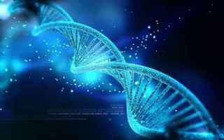 Scienze: biochimica  bioinformatica  dna  digital