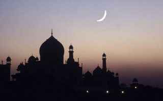 Religione: islam  ricerca  isis