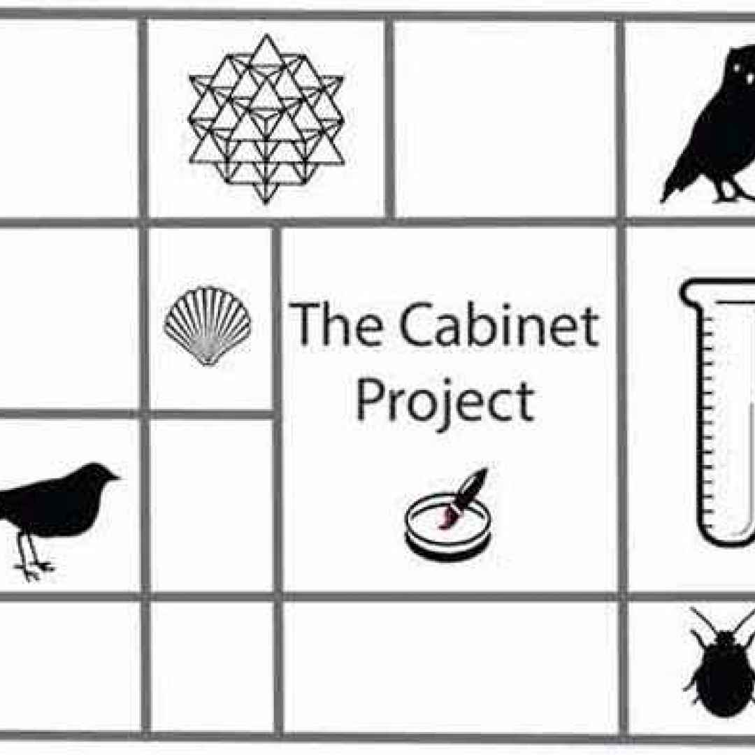 the cabinet project arte microcollection
