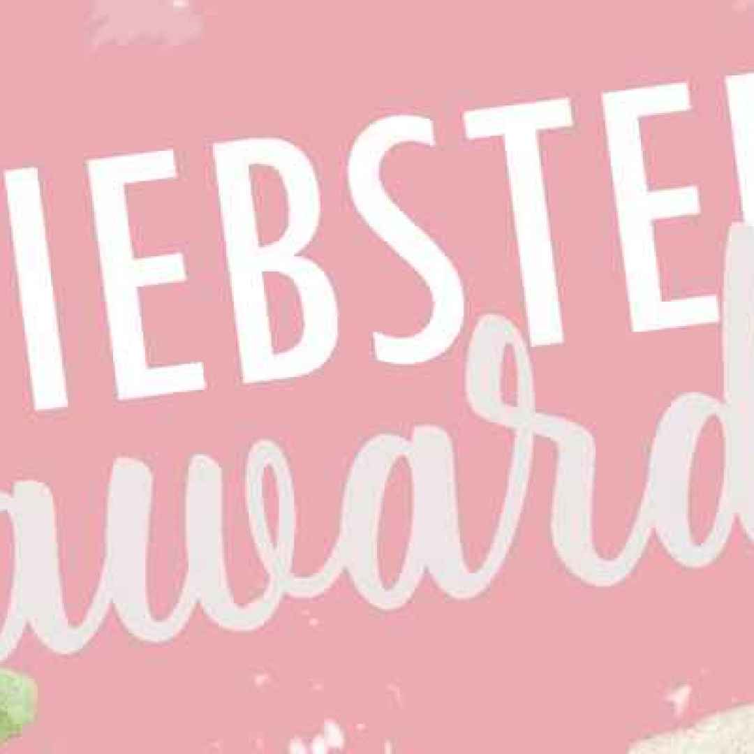 Undicesima nomination liebster award!!!