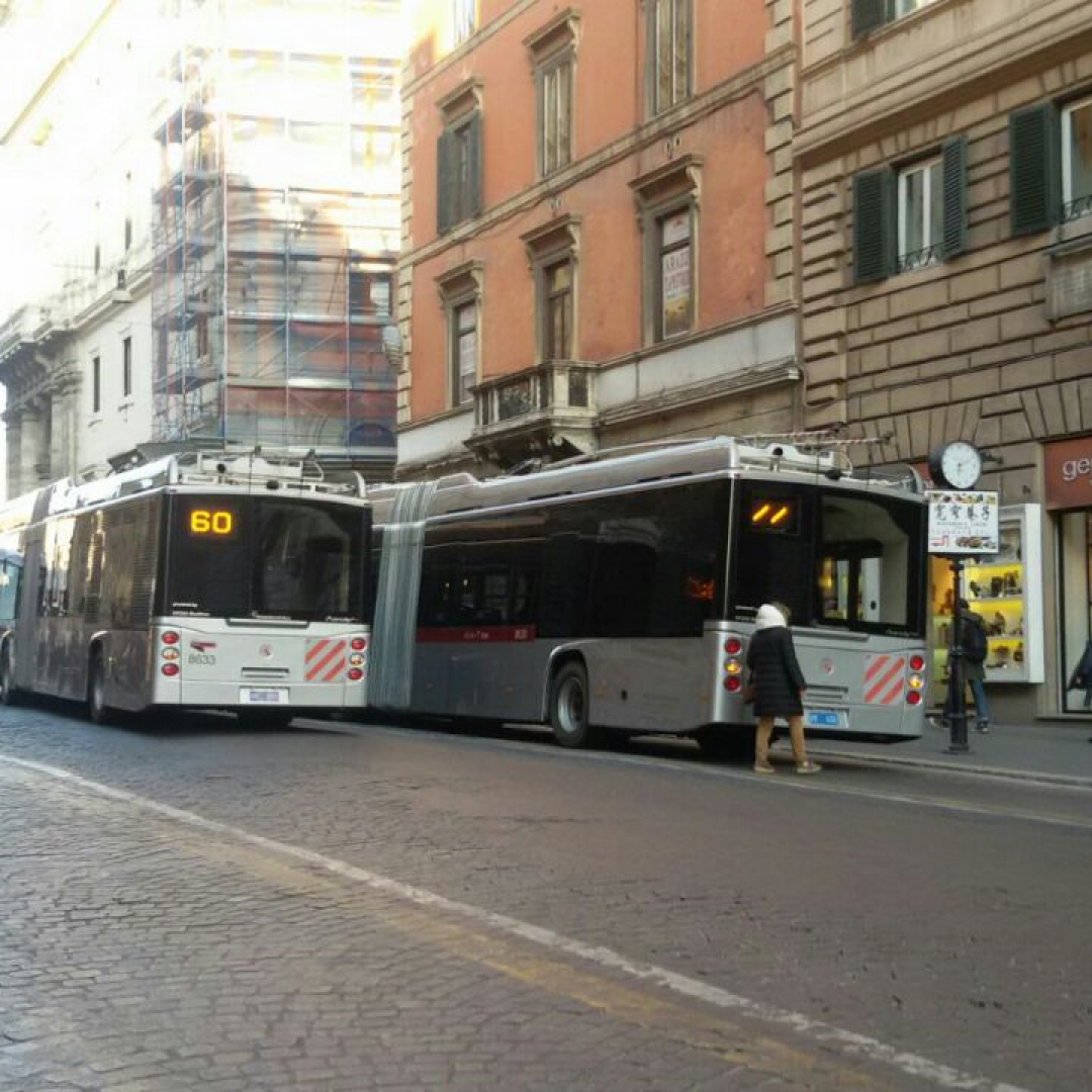 atac  trasporto pubblico  filobus