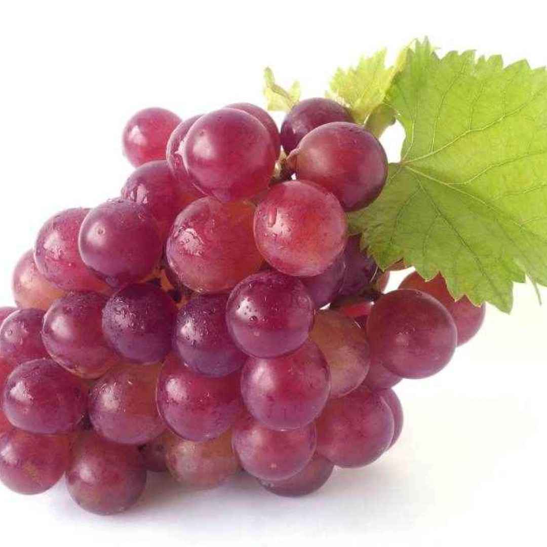 vino  uva