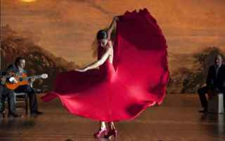 Viaggi: viaggi  flamenco