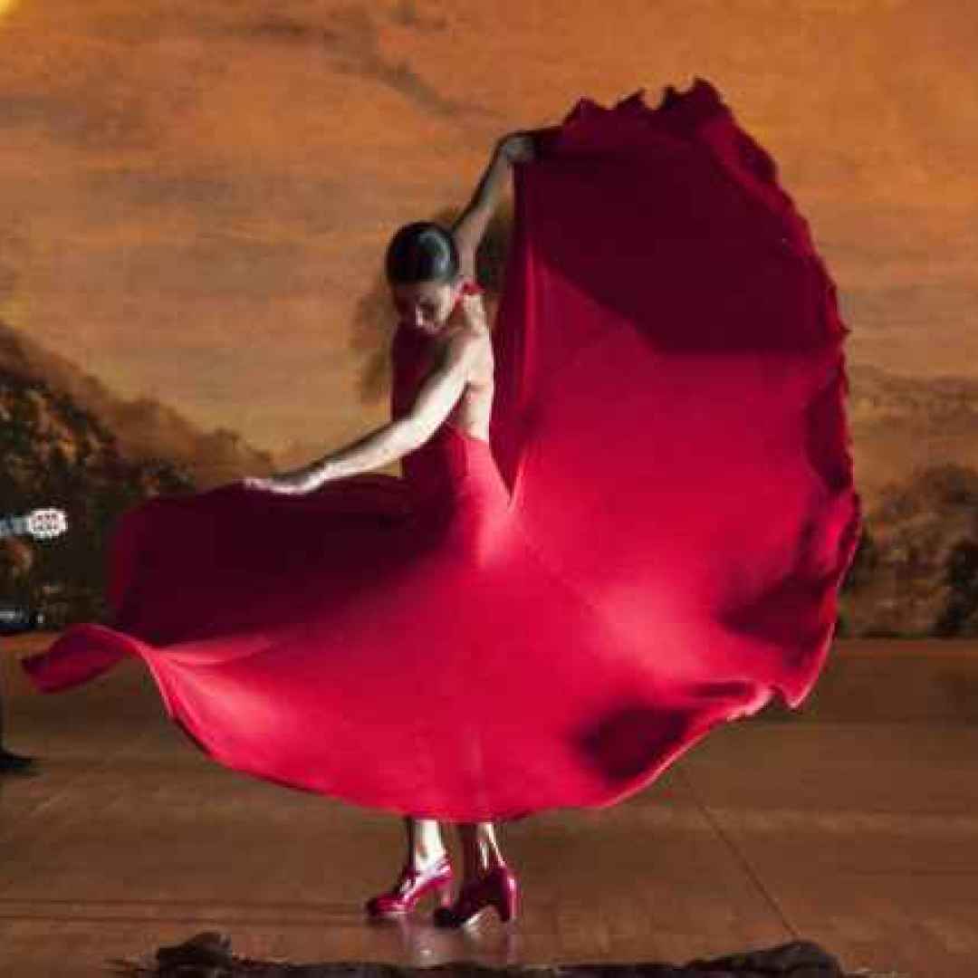 viaggi  flamenco