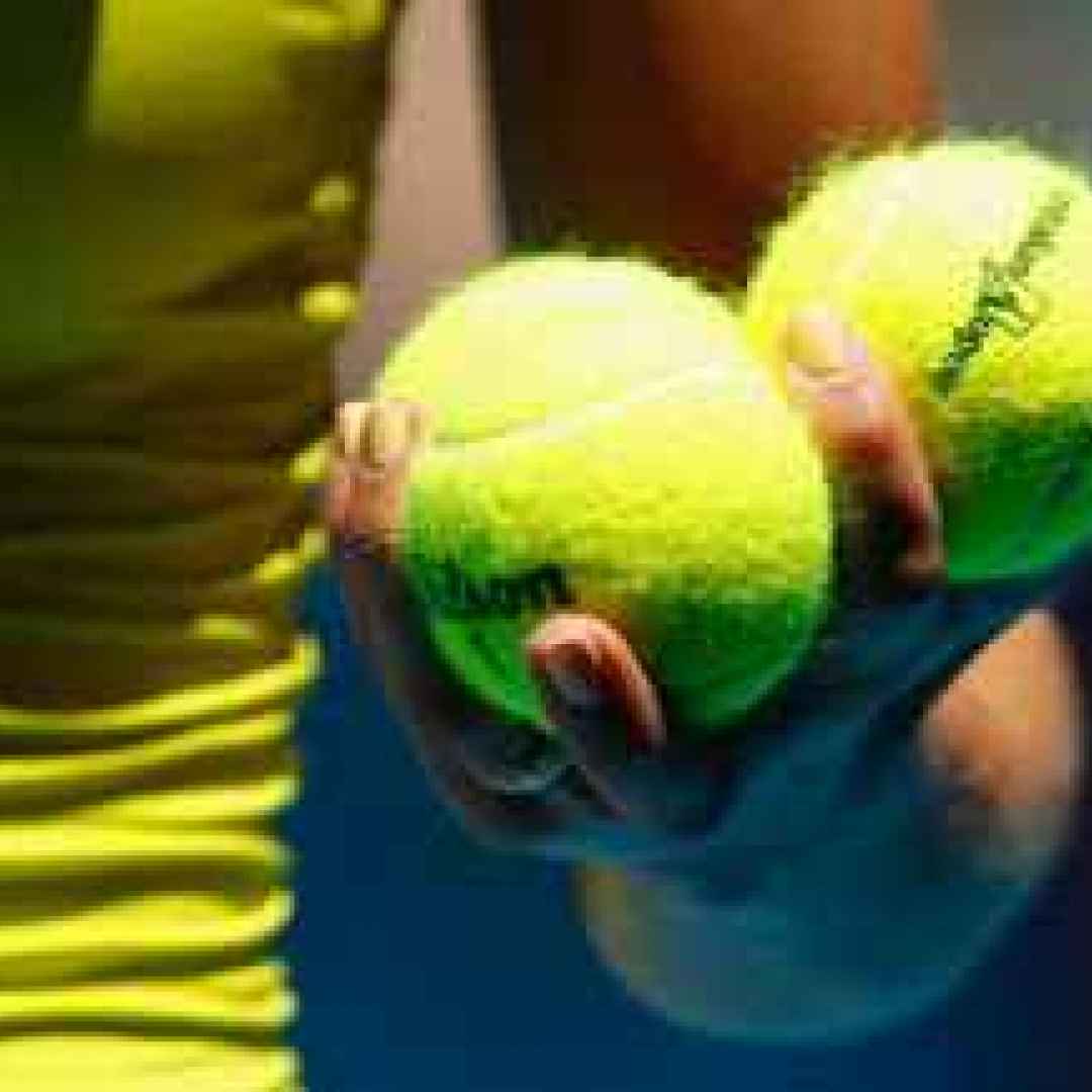 tennis grand slam stefano calzolari